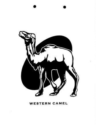 Playground Panels-Western Camel